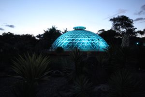 Mt Cootha Botanical Gardens Brisbane Outdoor LED Building Facade Lighting