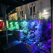 Green Wall Brisbane Rainbow LED Lighting