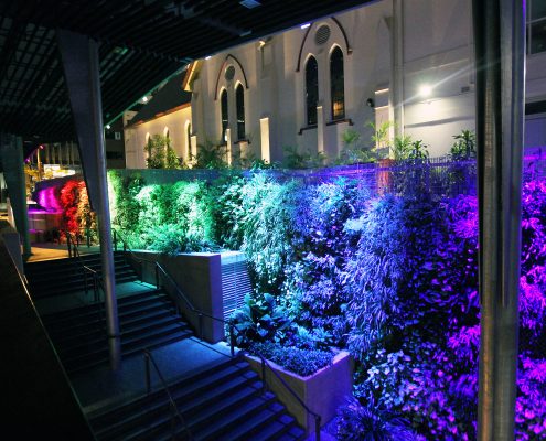 Green Wall Brisbane Rainbow LED Lighting