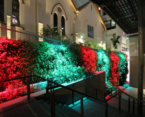 Green Wall Brisbane Rainbow LED Lighting