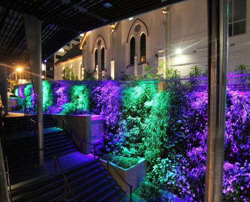 Green Wall Brisbane Rainbow LED Lighting