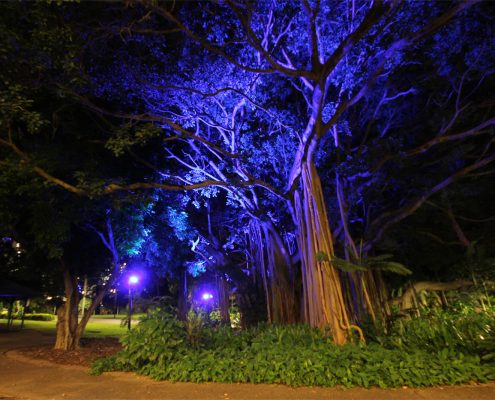 Lighting up the City Botanic Gardens | ULA Group