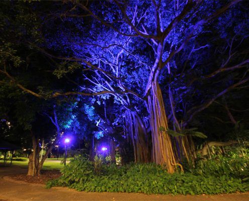 City Botanical Gardens Outdoor LED Tree Illumination