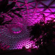 Mt Cootha Botanical Gardens Indoor LED Architectural Building Lighting