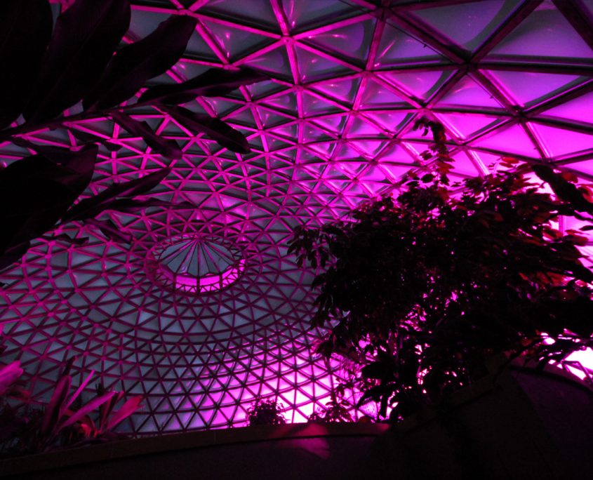 Mt Cootha Botanical Gardens Indoor LED Architectural Building Lighting