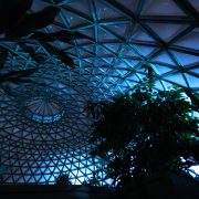 Mt Cootha Botanical Gardens Indoor LED Architectural Building Lighting