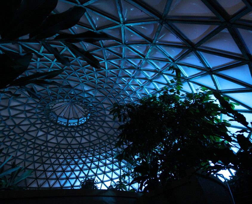 Mt Cootha Botanical Gardens Indoor LED Architectural Building Lighting