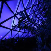 Mt Cootha Botanical Gardens Indoor LED Architectural Building Lighting