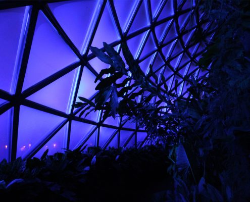 Mt Cootha Botanical Gardens Indoor LED Architectural Building Lighting