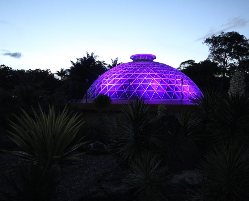Mt Cootha Botanical Gardens Indoor LED Architectural Building Lighting
