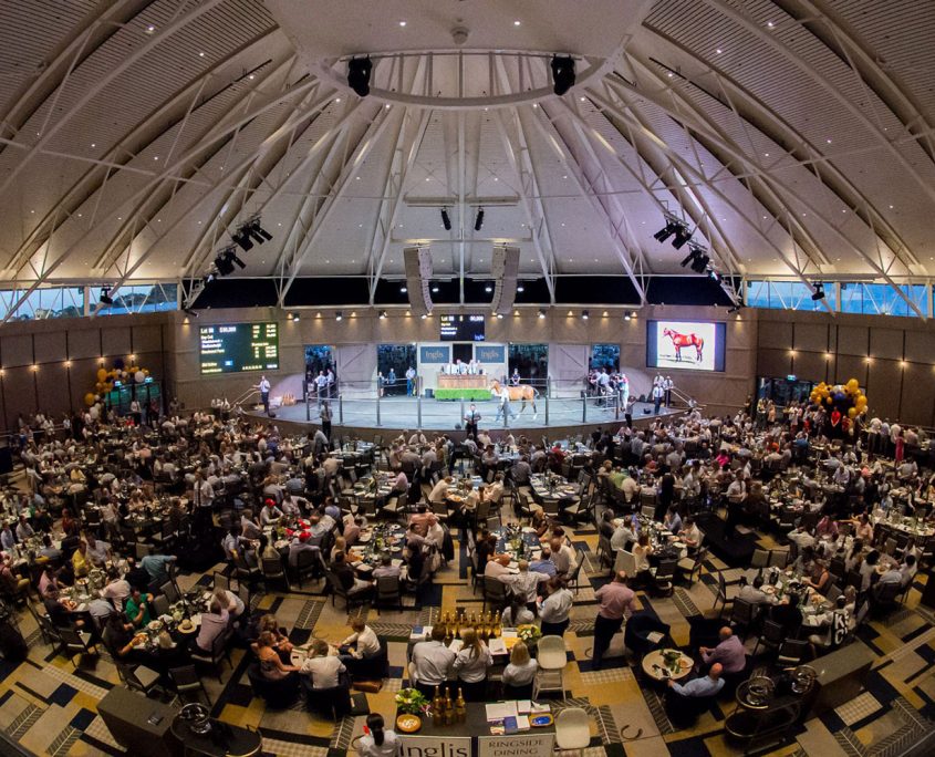 newstory-1 Inglis Riverside Stables Vuepix LED Screens Digital Display