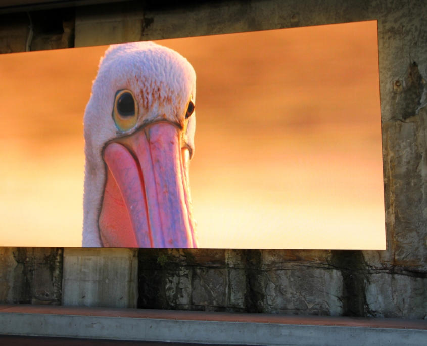 2019_BarangarooReserve_11