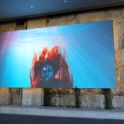 2019_BarangarooReserve_31