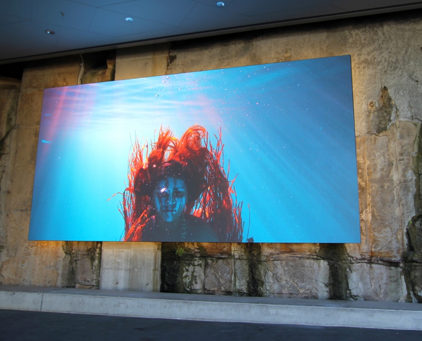 2019_BarangarooReserve_31