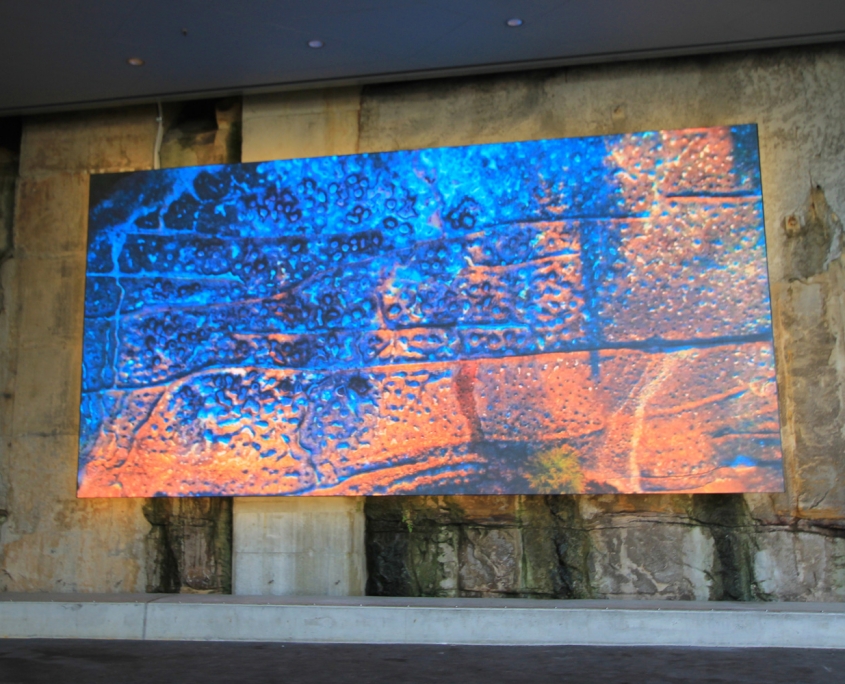 2019_BarangarooReserve_9187