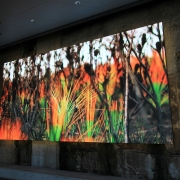 2019_BarangarooReserve_9399