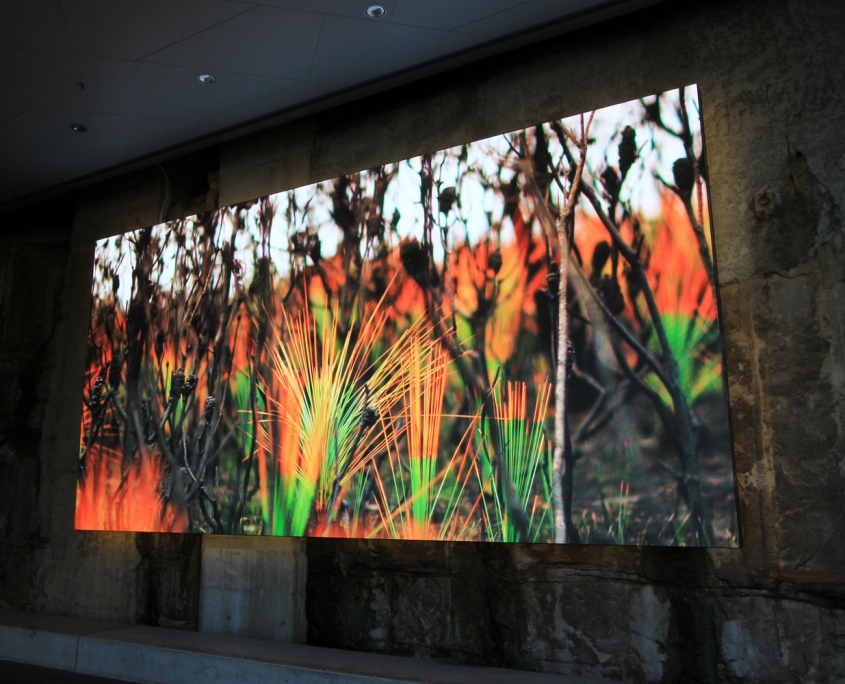 2019_BarangarooReserve_9399