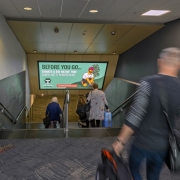 Southern-Stairwell_TreesThatCount_Nov2020